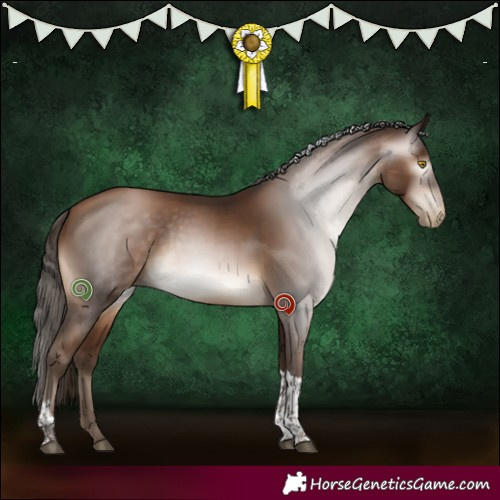 Horse Color:Gray Bay Pearl Tobiano 