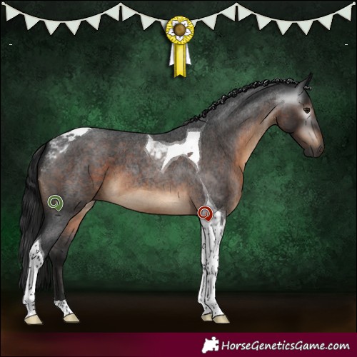Horse Color:Gray Brown Roan Tobiano 