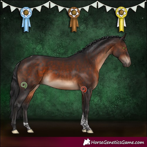 Horse Color:Brown Tobiano 