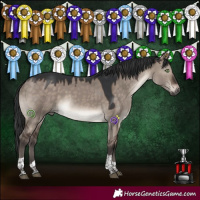 Horse Color:Brown Dun Mushroom Sabino Tobiano