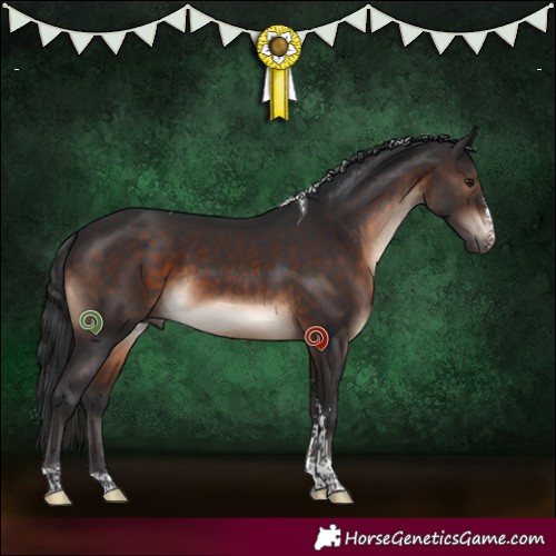 Horse Color:Brown Sabino Tobiano 