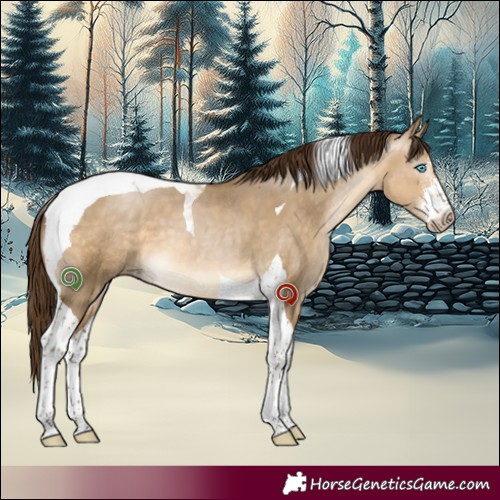 Horse Color:Gray Buckskin Pearl Dun Sabino Tobiano 