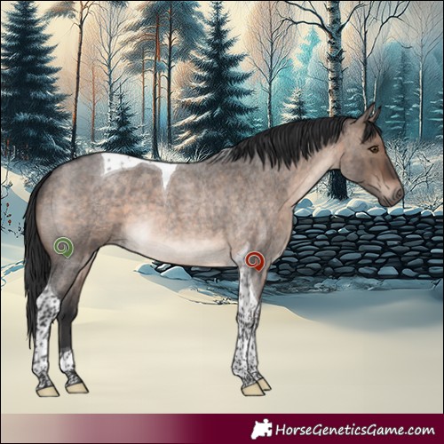 Horse Color:Brown Roan Dun Mushroom Tobiano 