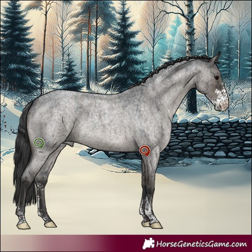 Horse Color:Grullo Roan Sabino Brindle 
