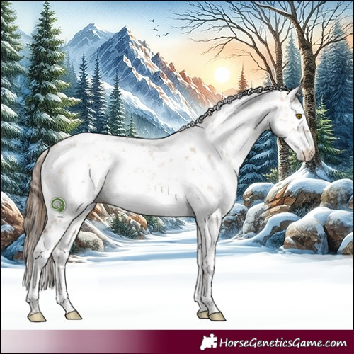 Horse Color:White Spotted Brown Pearl Dun Sabino 