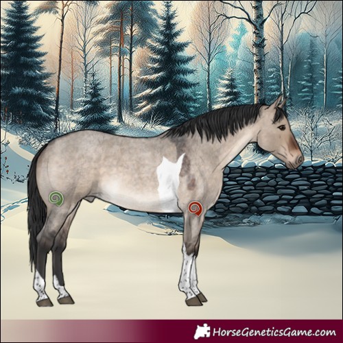 Horse Color:Brown Roan Dun Tobiano 