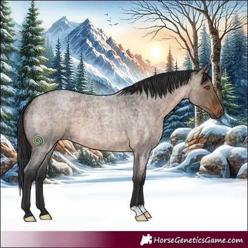 Horse Color:Brown Roan Dun 