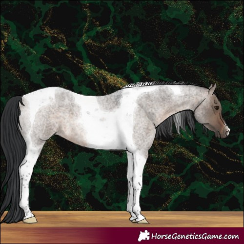 Horse Color:Brown Roan Dun Tobiano 