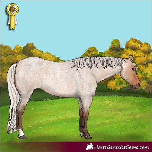 Horse Color:Silver Bay Roan Dun 