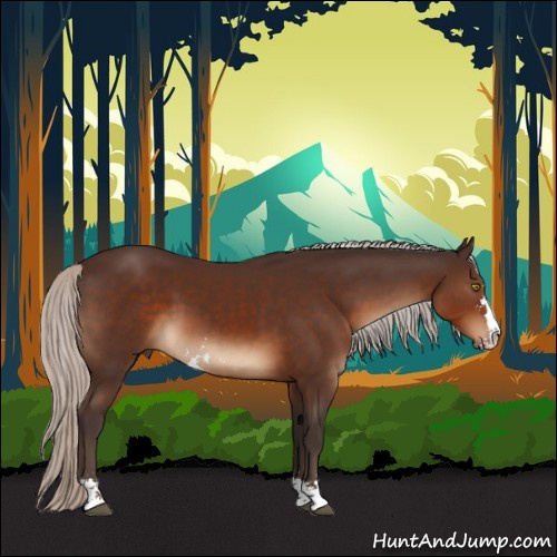Horse Color:Silver Brown Sabino 