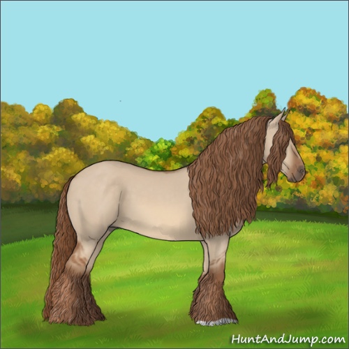 Horse Color:Red Dun