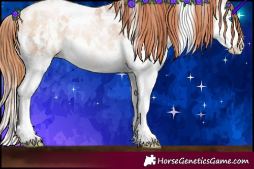 Horse Color:White Spotted Amber Champagne Pearl Sabino Splash