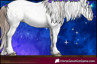 Horse Color:Brown Pearl Dun Sabino Rabicano