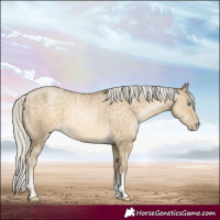 Horse Color:Silver Buckskin Pearl Dun Tobiano Brindle 
