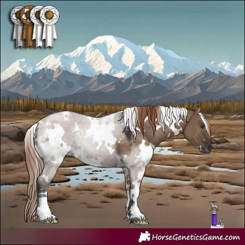 Horse Color:White Spotted Liver Red Dun 