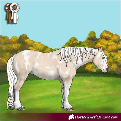 Horse Color:White Spotted Silver Perlino Dun Sabino 