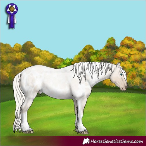 Horse Color:White Spotted Cremello Dun Mushroom 