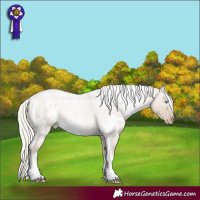 Horse Color:White Spotted Cremello Dun Mushroom