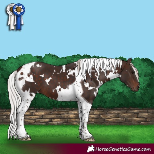 Horse Color:White Spotted Silver Brown Tobiano 