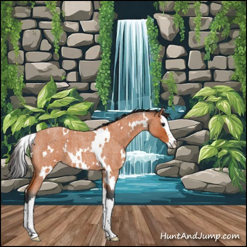 Horse Color:White Spotted Bay Roan Splash 