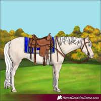 Horse Color:Silver Amber Cream Champagne Pearl