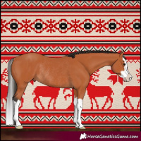 Horse Color:Bay Splash Rabicano 
