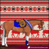Horse Color:Bay Splash Rabicano
