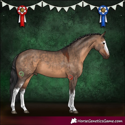 Horse Color:White Spotted Brown Dun 