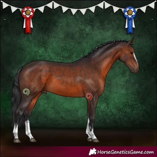 Horse Color:White Spotted Brown 