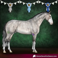 Horse Color:White Spotted Brown Roan Dun Brindle