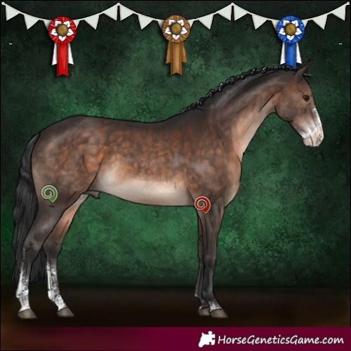 Horse Color:Brown Sabino 