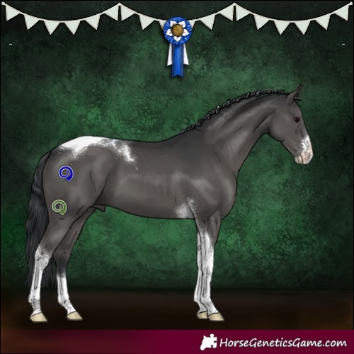 Horse Color:Grullo Sabino Tobiano 