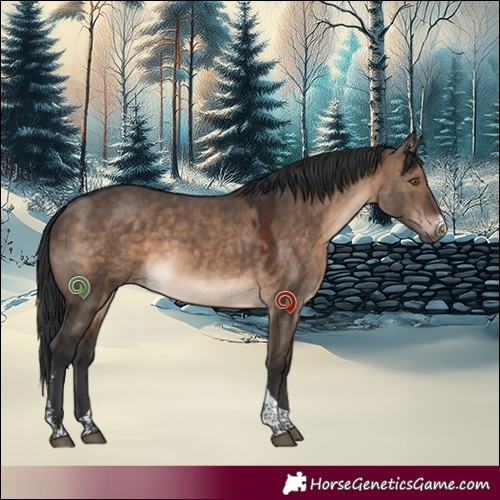Horse Color:Brown Dun Sabino Tobiano 