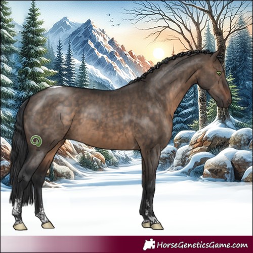 Horse Color:Brown Dun Sabino Tobiano Brindle