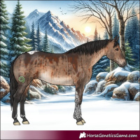 Horse Color:Brown Dun Tobiano Brindle