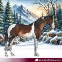 Horse Color:Brown Sabino Tobiano 