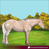 Horse Color:White Spotted Silver Classic Champagne Ice Rabicano 
