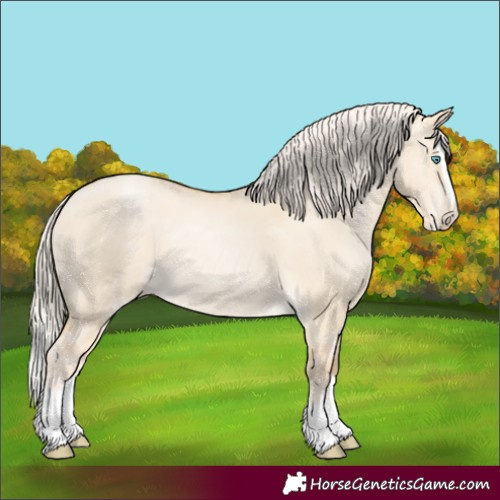 Horse Color:Palomino Pearl Dun Splash 