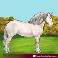 Horse Color:Palomino Pearl Dun Splash 