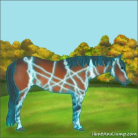 Horse Color:Thunderstruck Brown 