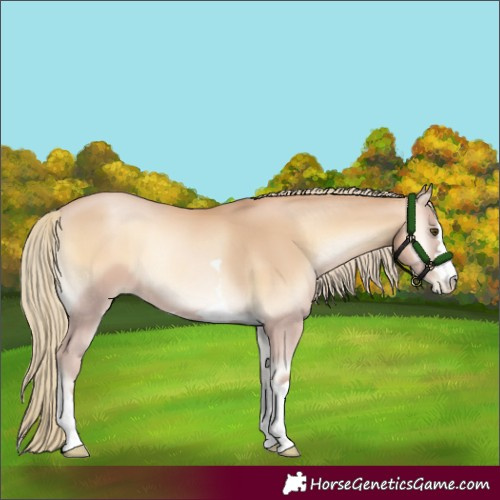 Horse Color:Red Onyx Pearl Mushroom