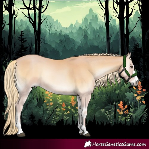 Horse Color:Red Onyx Mushroom 