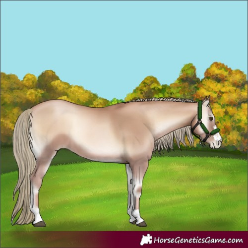 Horse Color:Red Onyx Pearl Mushroom 