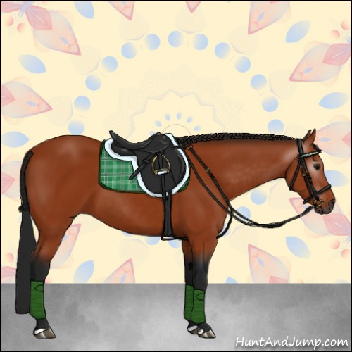 Horse Color:Gray Bay