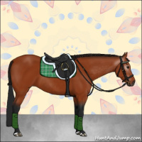 Horse Color:Gray Bay 