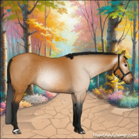 Horse Color:Gray Buckskin