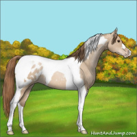 Horse Color:Grullo Pearl Tobiano Blanket 