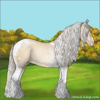 Horse Color:Silver Grullo Pearl Tobiano 