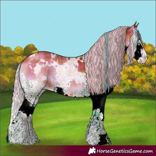 Horse Color:Plaid White Spotted Silver Bay Onyx Splash