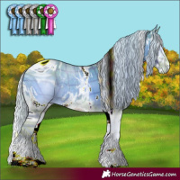 Horse Color:ERROR: UNKNOWN ANOMALY
